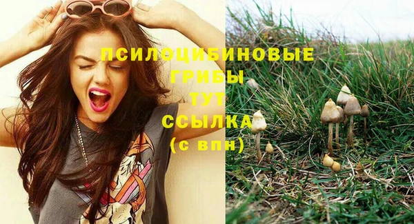 дмт Верея