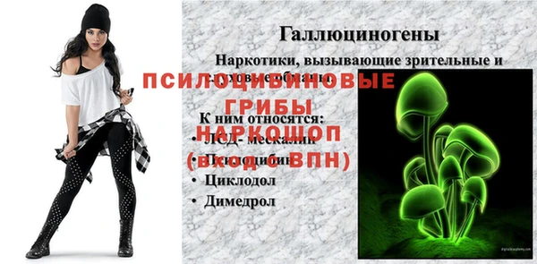 Альфа ПВП Верхнеуральск