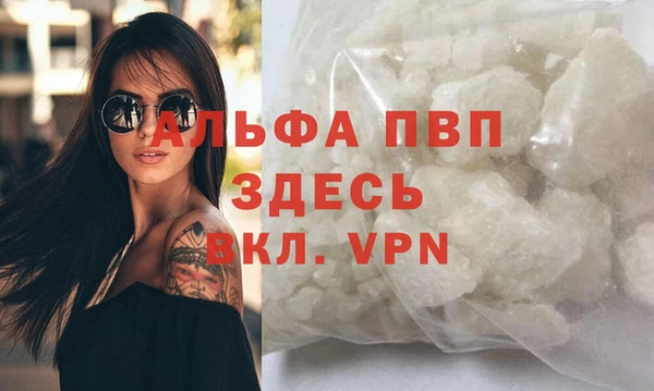 эйфоретик Бородино